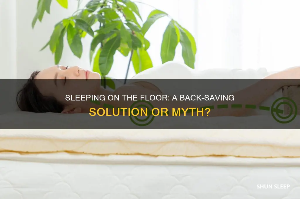 should i sleep on the floor to help my back