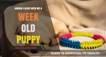 Sleeping with Your Puppy: Good Idea?