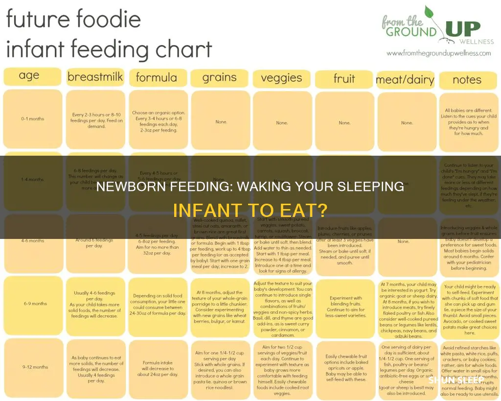 should i wake a sleeping newborn to eat