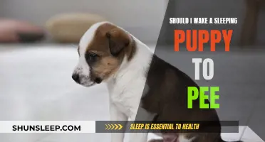 Waking Puppies to Pee: Good Idea or Not?