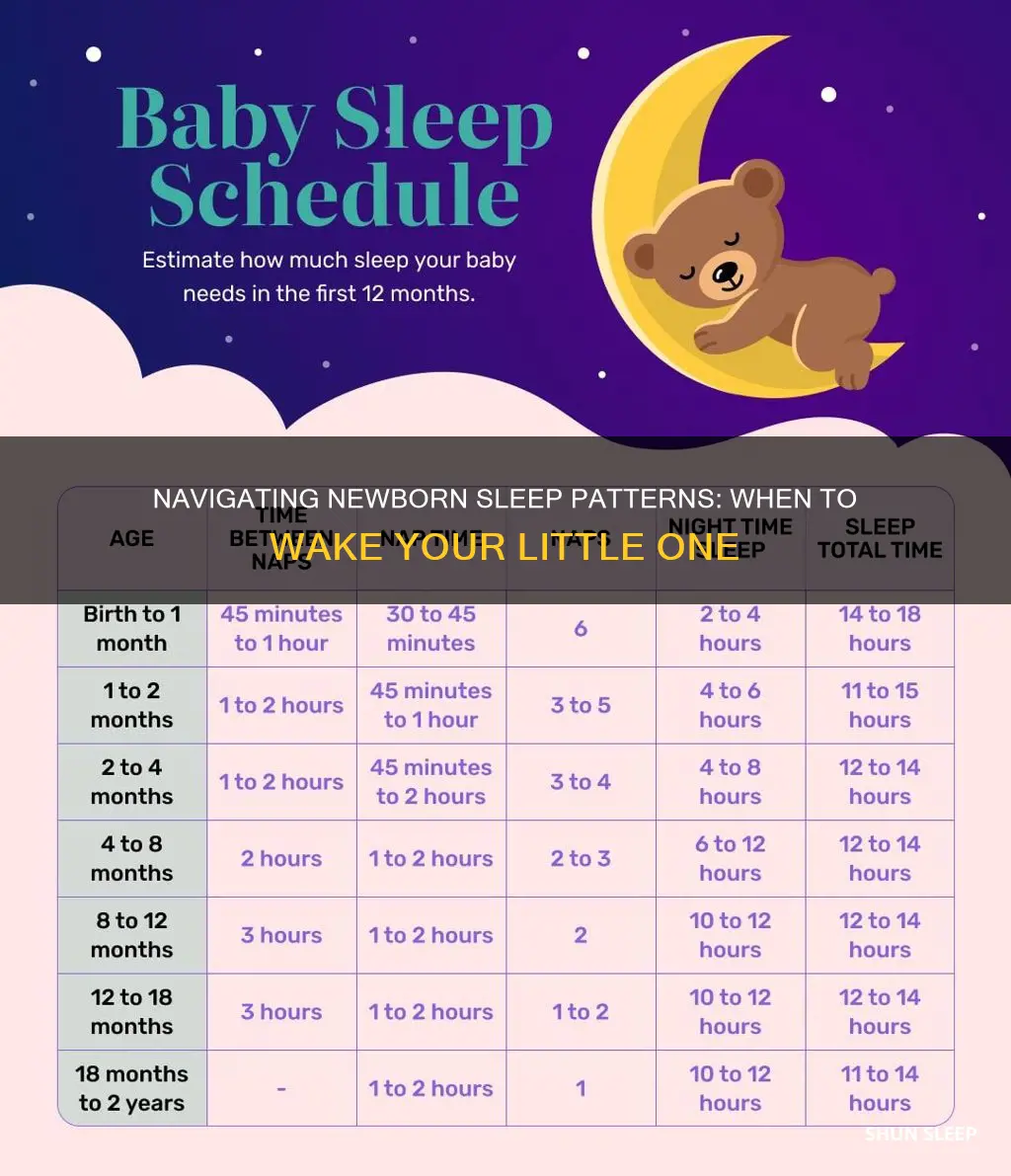 should i wake my sleeping newborn during the day