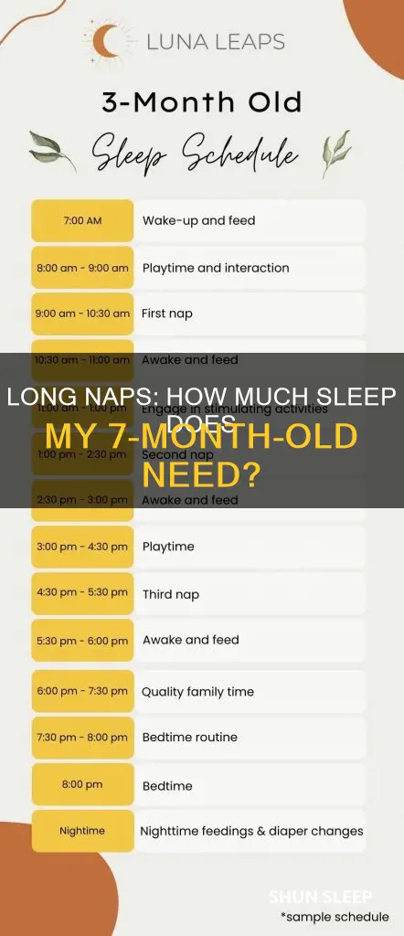 should my 7 month old sleep more than 2hr naps
