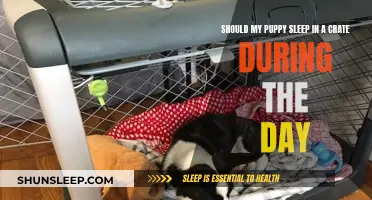 Crate Training Puppies: Daytime Sleep Solution?