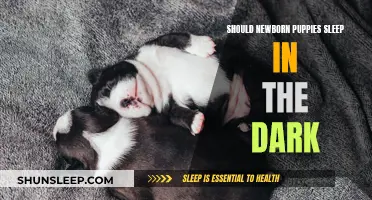Puppies' Sleep Environment: Light or Dark?