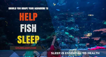 Drape Your Aquarium: Enhancing Fish Sleep or Unnecessary Hassle?