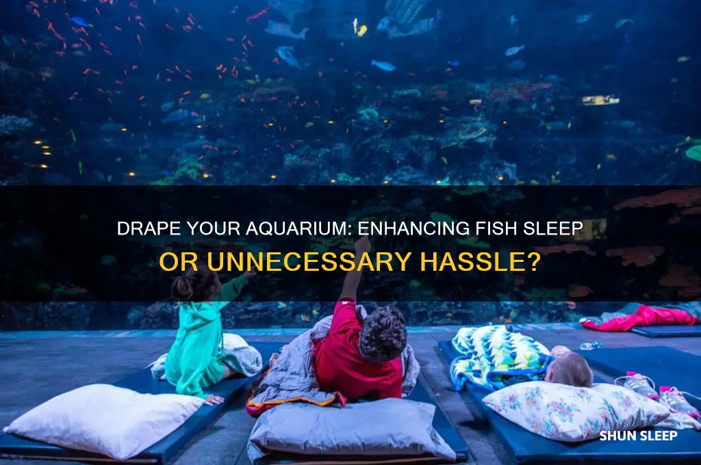 should you drape your aquarium to help fish sleep