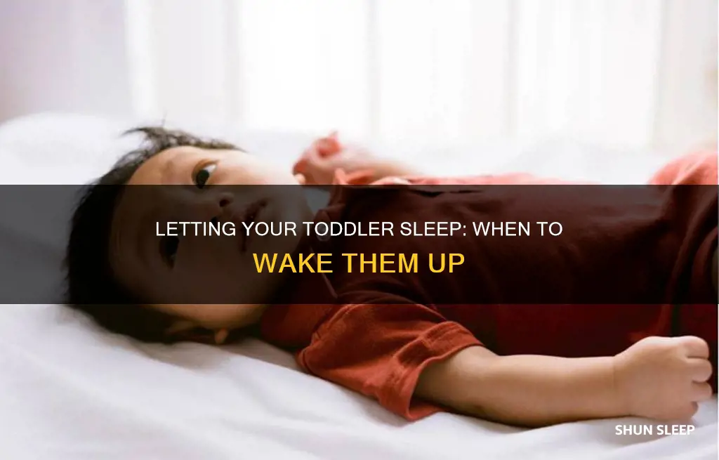 should you let 1 year old sleep till wakes up