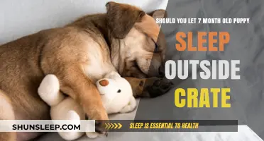 How to Let Your Puppy Sleep Outside Their Crate