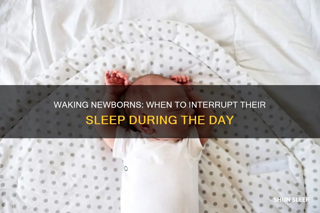 should you wake a sleeping newborn during the day