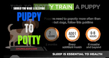 Puppy Potty Training: To Wake or Not to Wake?