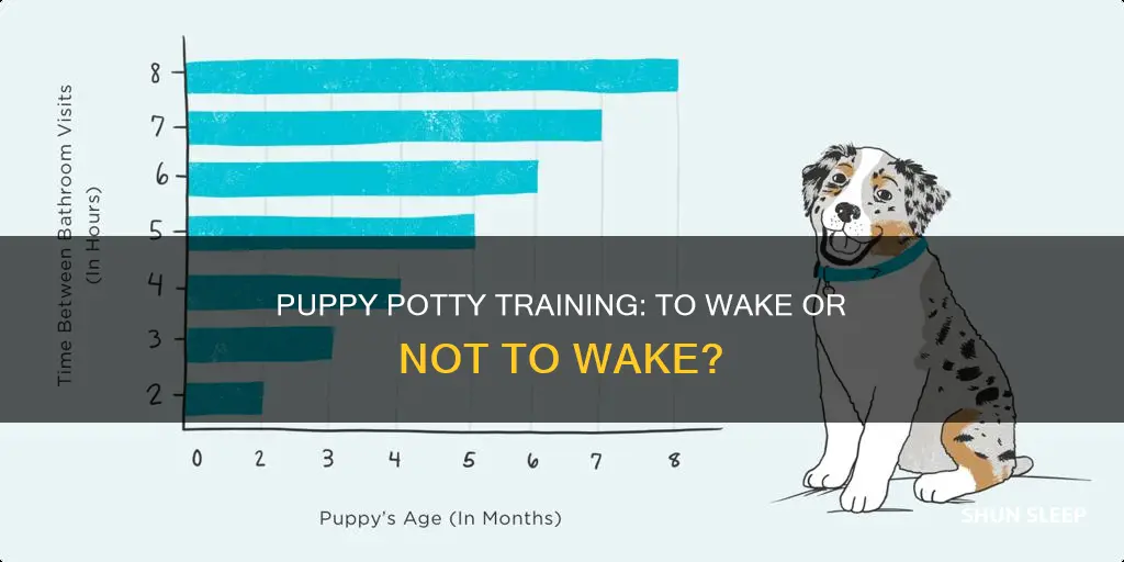 should you wake a sleeping puppy to potty