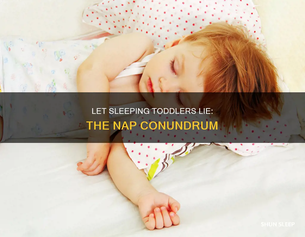 should you wake a sleeping toddler from nap