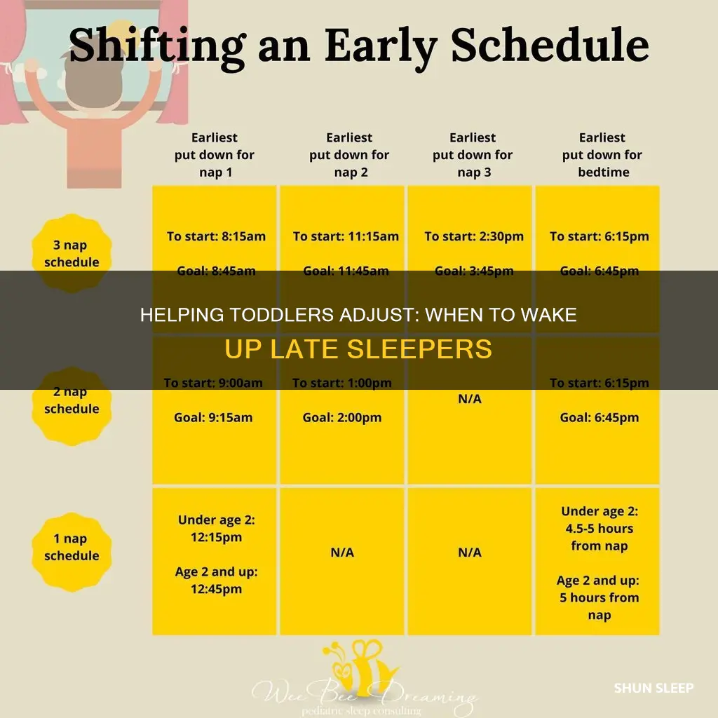 should you wake toddler up if sleeping too late