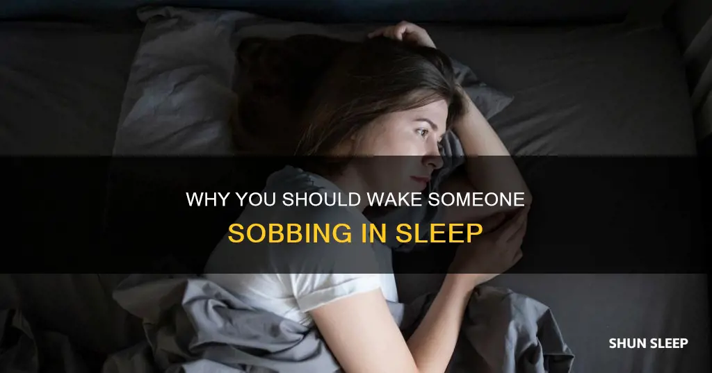 should you wake up someone sobbing in their sleep