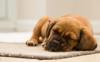sleep problems solutions