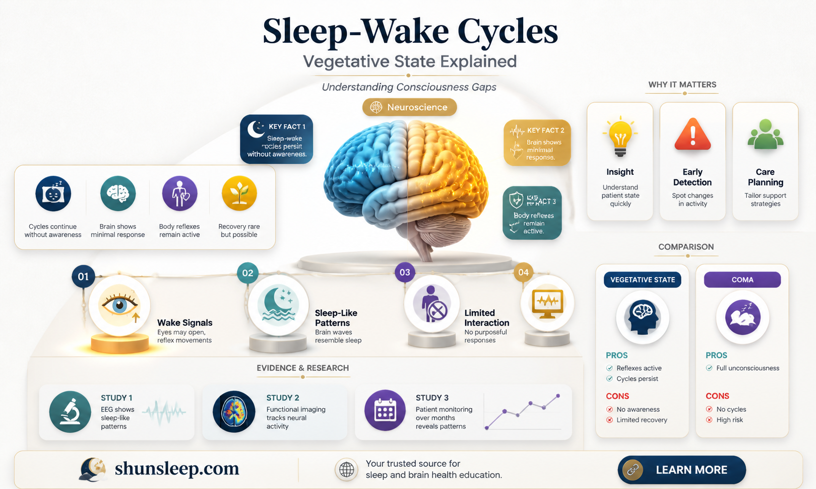 are there sleep wake cycles in a vegetative state