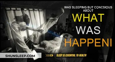 Sleep Awareness: Conscious Dreams and Their Intrigue