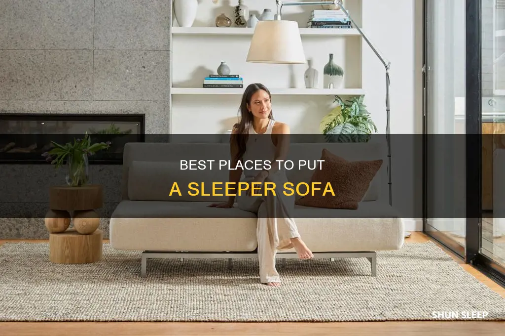 were to take a sleeper sofa