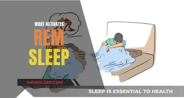 How to Trigger REM Sleep: Understanding Activation Factors