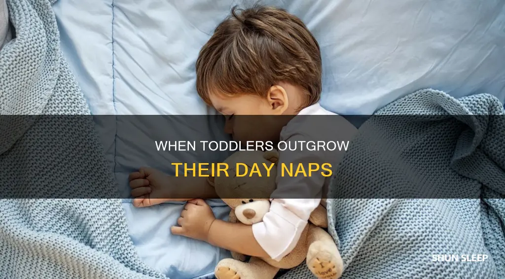 what age do toddlers drop day sleep