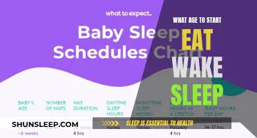 The Perfect Schedule: When to Start Eating, Waking, and Sleeping