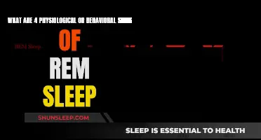 Signs of REM Sleep: Behavioral and Physiological Changes