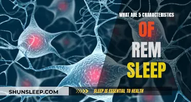 REM Sleep: 5 Intriguing Characteristics to Know