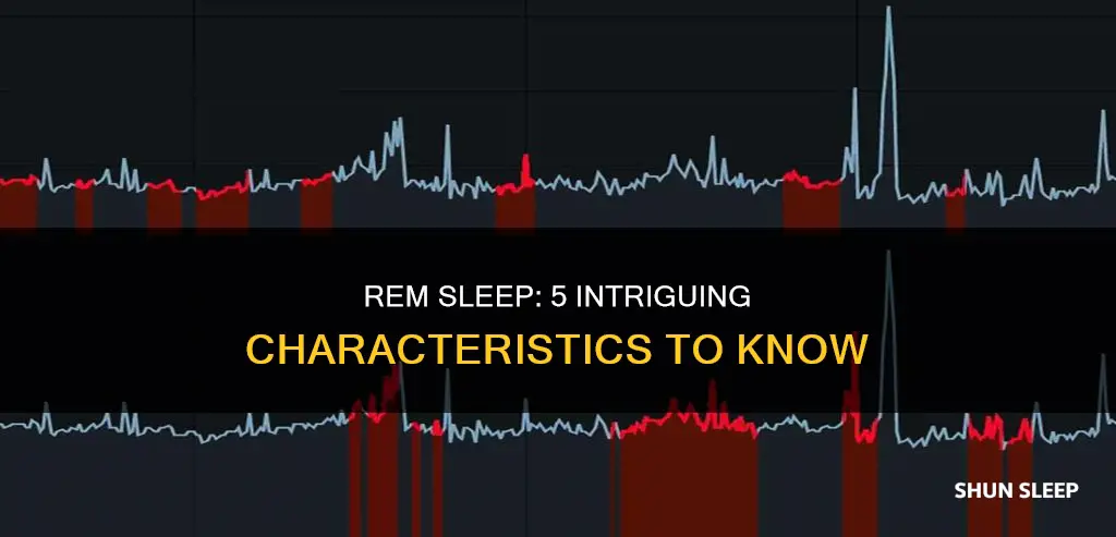 what are 5 characteristics of rem sleep