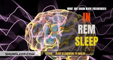 Brain Wave Frequencies During REM Sleep Explained