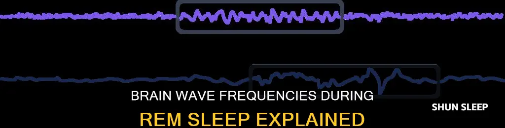 what are brain wave frequencies in rem sleep