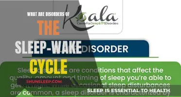 Understanding Sleep-Wake Cycle Disorders: Causes, Symptoms, and Treatment Options