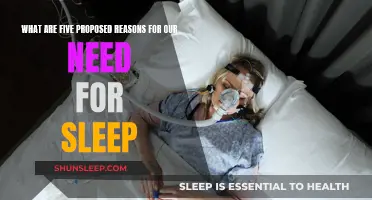 Sleep's Purpose: 5 Theories on Our Need for Slumber