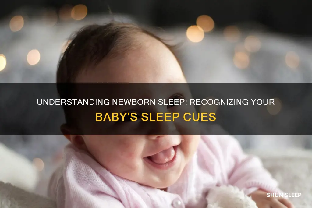 what are newborn sleep cues