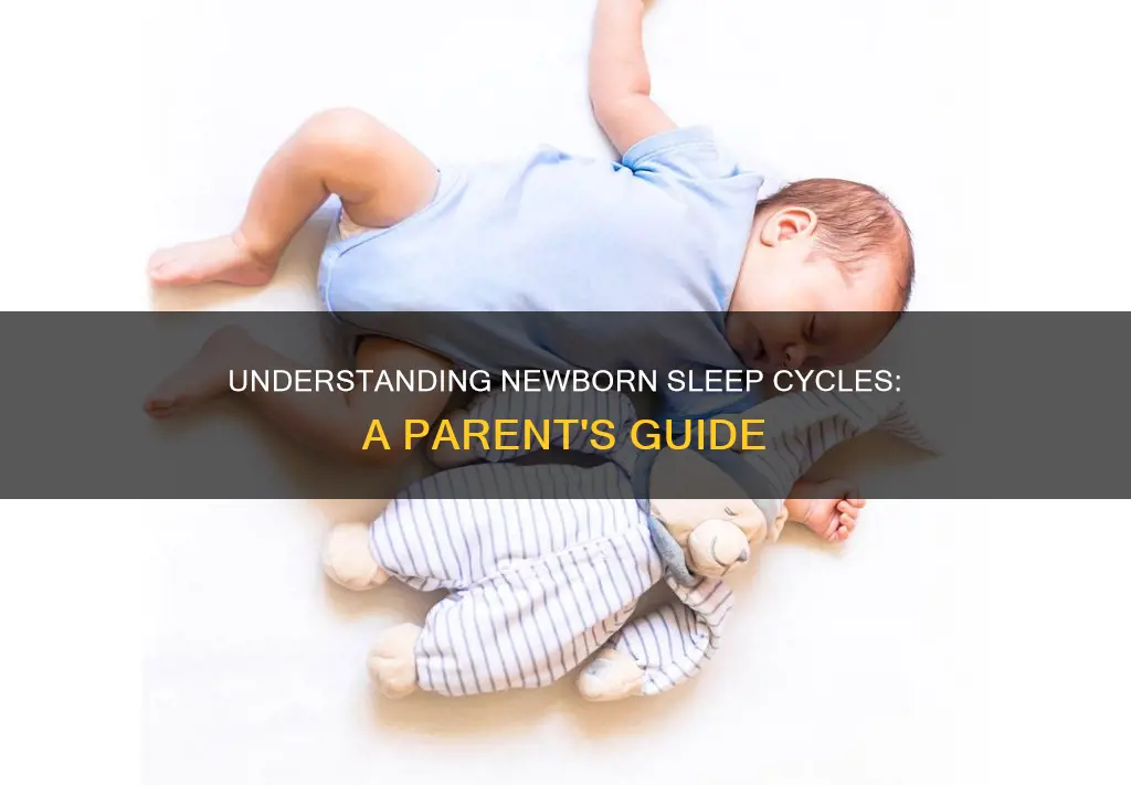 what are newborn sleep cycles