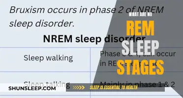 Understanding Sleep Stages: No REM Sleep Explained