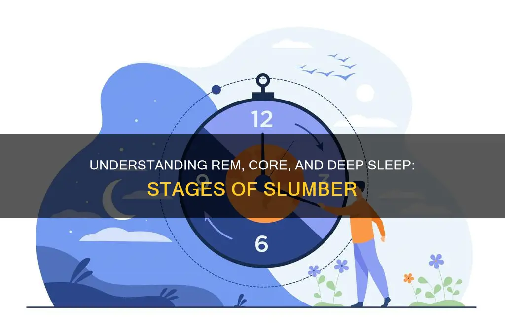 what are rem core and deep sleep