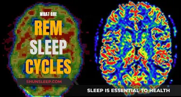 Understanding REM Sleep Cycles and Their Importance