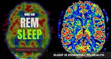 Understanding REM Sleep: The Science Behind Dreaming