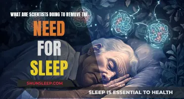 Scientists' Quest to Conquer Sleep: Current Innovations