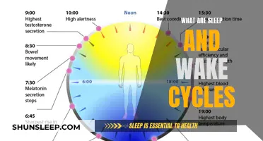 Understanding Sleep and Wake Cycles: A Natural Rhythm