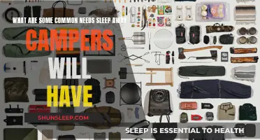 Campers' Essential Needs: Sleep Away Edition