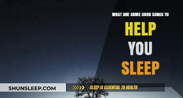 Calm Melodies: Best Songs to Ease You into Restful Sleep