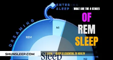 Exploring the Intricate Stages of REM Sleep