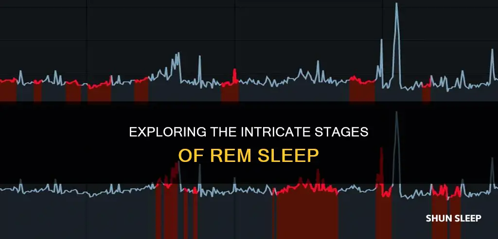 what are the 4 stages of rem sleep