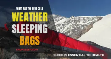 Winter Camping: Best Sleeping Bags for Cold Weather
