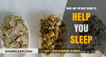 Herbal Remedies for Better Sleep: Top Herbs to Try Tonight
