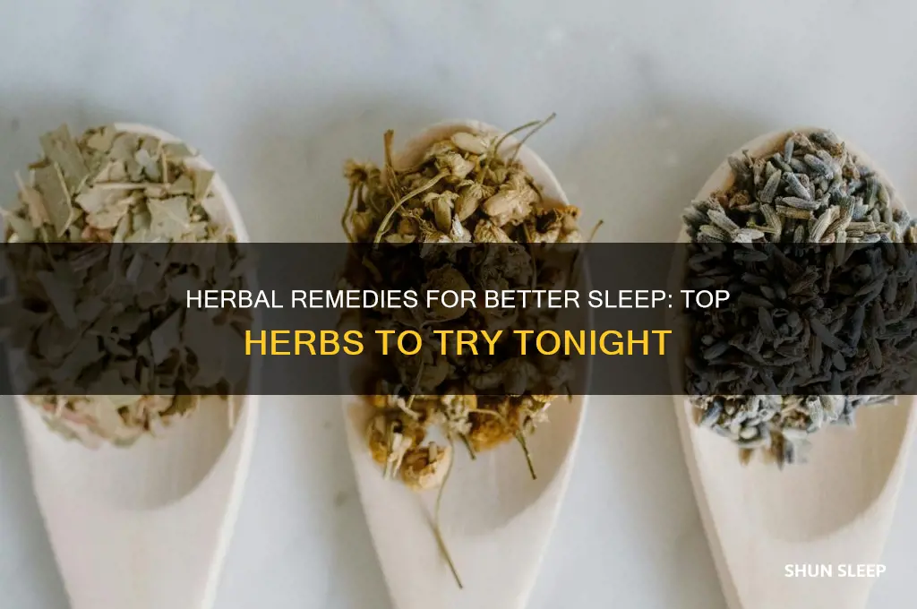 what are the best herbs to help you sleep