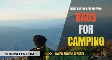 Best Sleeping Bags for Camping: A Buyer's Guide