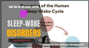 Unraveling the Biological Threads: Sleep-Wake Disorders and Their Intricate Factors