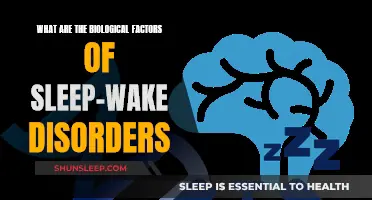 Biological Factors Behind Sleep-Wake Disorders Explained